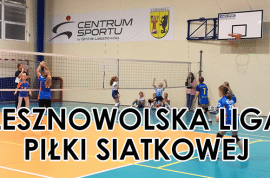 Lesznowolska Liga Piłki Siatkowej